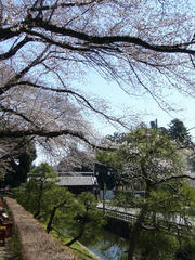 P1090289.jpg