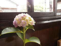 P6300011.jpg