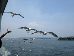 IMG_2310.jpg