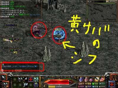 b362e160.JPG