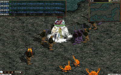 726d6ad1.JPG