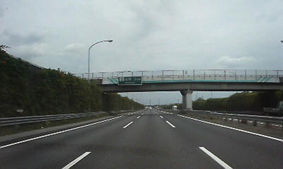 P1000544.jpg