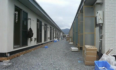 P1000568.jpg