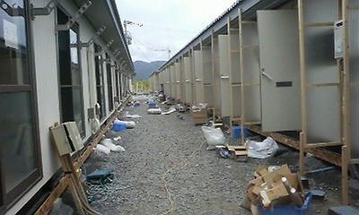 P1000569.jpg