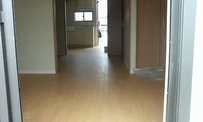 P1000571.jpg