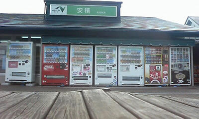 P1000548.jpg