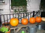IMG_0053.JPG