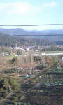 080325_0708~0001.jpg