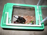 DSCN0128.JPG