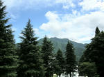 DSCN0230.jpg