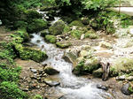 DSCN0251.jpg