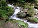 DSCN0255.JPG