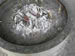 DSCN0295.JPG