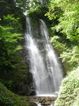 DSCN0262.JPG