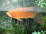 DSCN0693.JPG