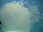 DSCN0713.JPG