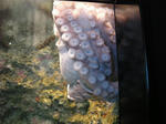 DSCN0745.JPG