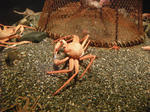 DSCN0747.JPG