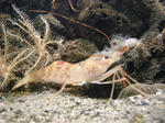 DSCN0749.JPG