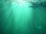 DSCN0738.JPG