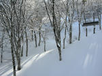 DSCN0816.JPG