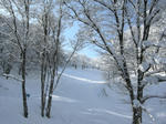 DSCN0817.JPG
