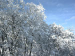 DSCN0820.JPG