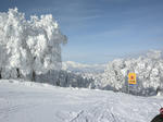 DSCN0823.JPG