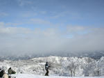 DSCN0826.JPG