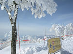 DSCN0827.JPG