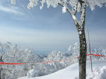 DSCN0828.JPG