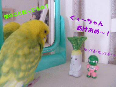 qoo-2811.gif