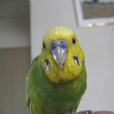 2008_03230003.JPG