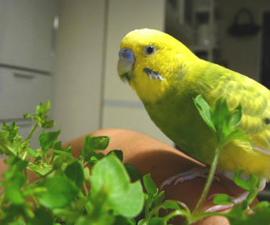 2008_06140001.JPG