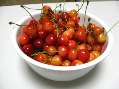 cherry.JPG