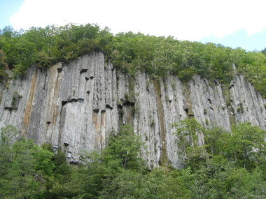 tenin5.JPG