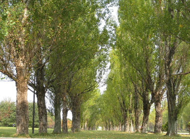 tms-park20.JPG