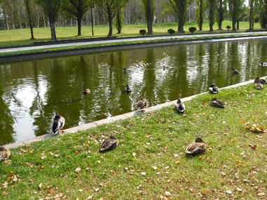 tms-park15.JPG