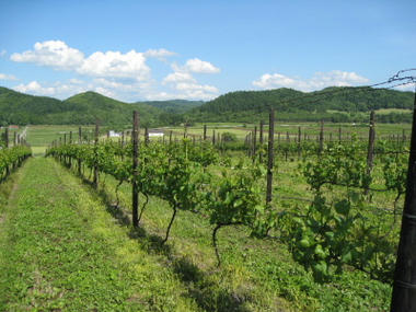 2009_06270028.JPG