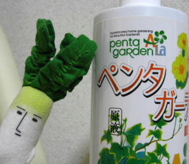 pentag.JPG