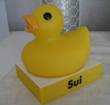 sui.JPG