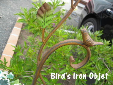 Bird-ob.JPG