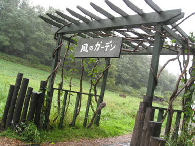 garden-2.JPG