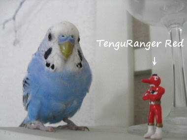 tenguRanger.JPG