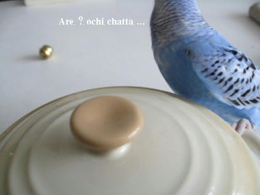 2fb82447.JPG