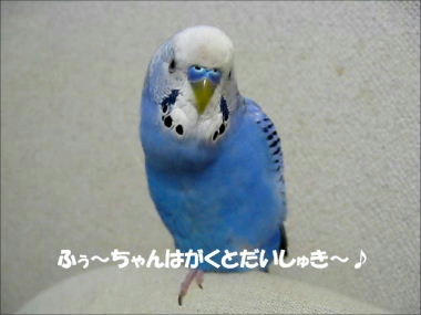 fuutalk-2-3.jpg