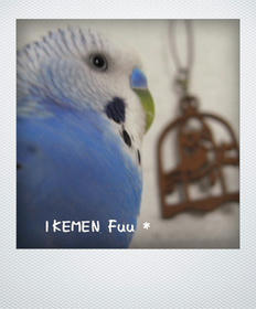 kako-7EnYf88bUfflME.jpg