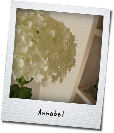 annabel2012.jpg