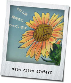 himawari.jpg