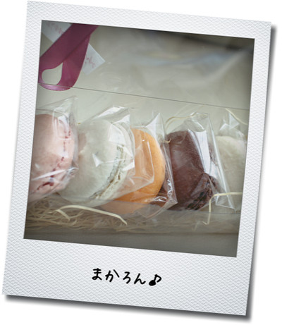macaron.jpg